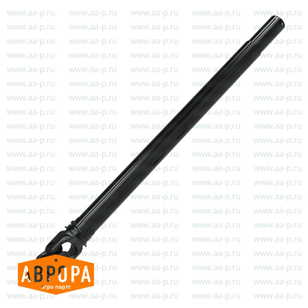 Arm